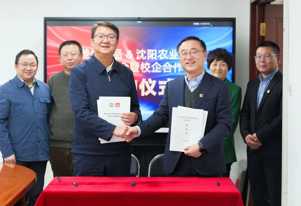 NG大舞台-有梦你就来 -致力于新媒体舞台视觉艺术创作整案服务
