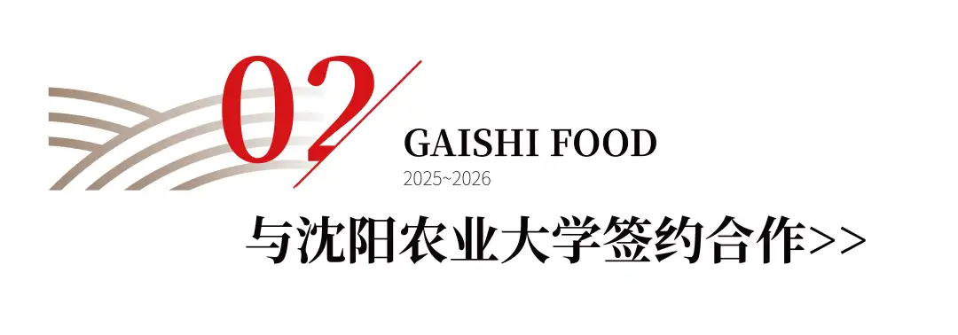 NG大舞台-有梦你就来 -致力于新媒体舞台视觉艺术创作整案服务